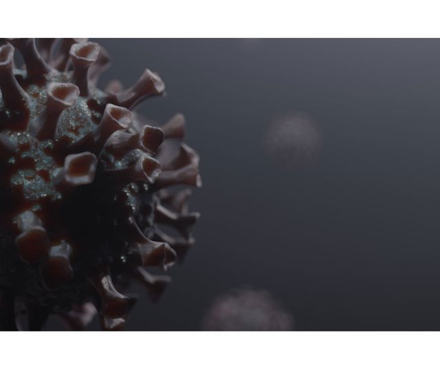 COVID-19 – mRNA / חיסון ויראלי מבוסס וקטור